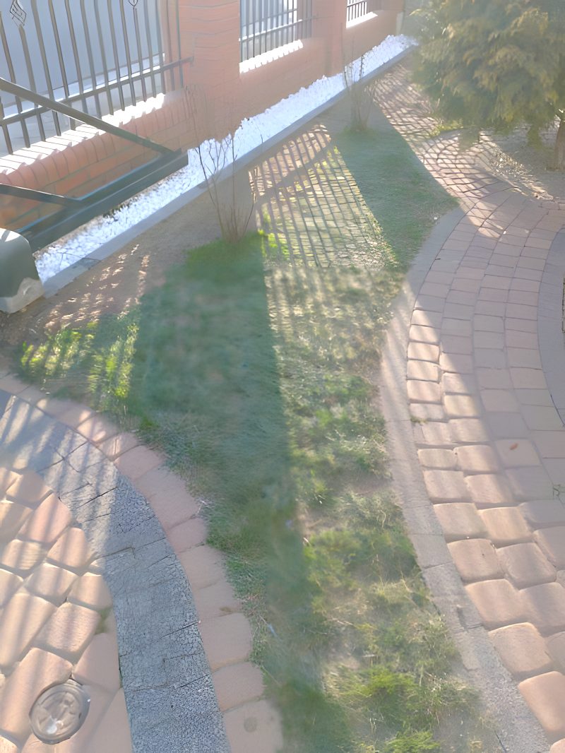 Ogród z kostką i zielenią