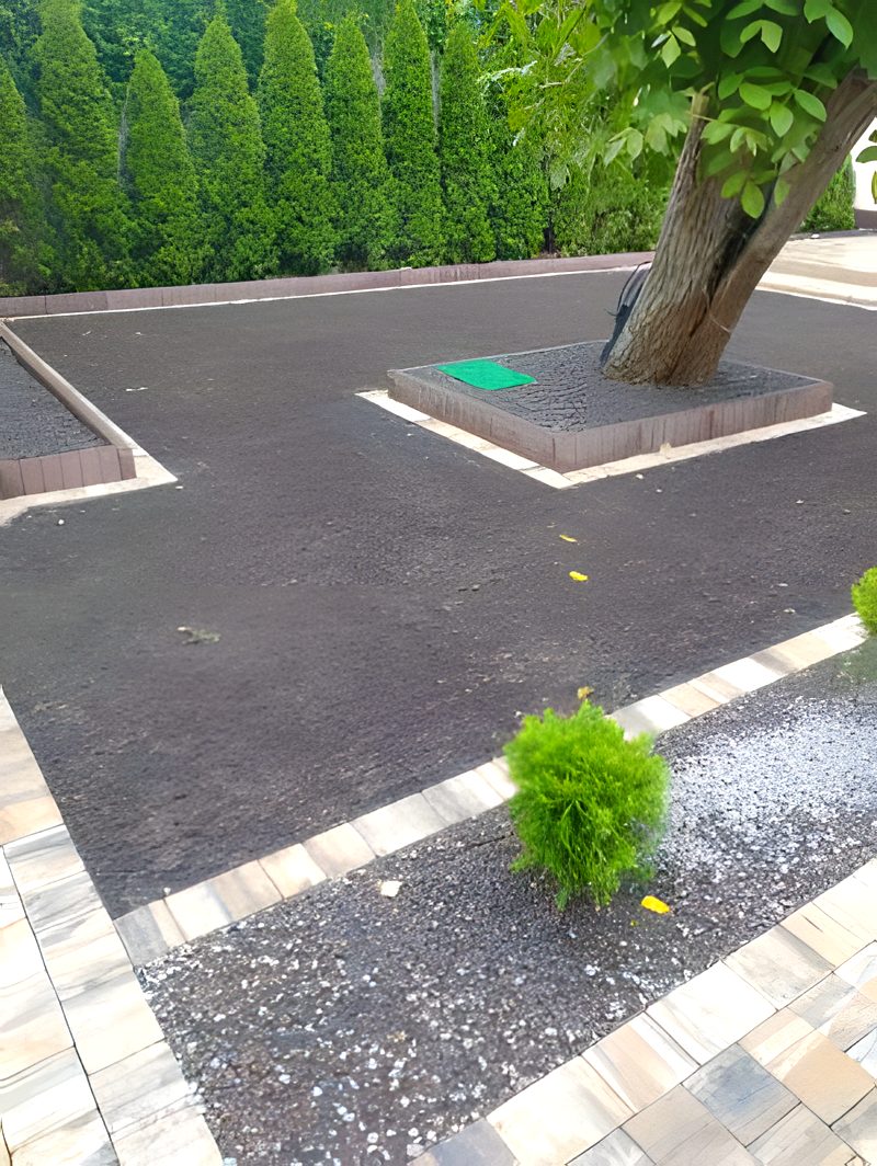 Ogród z nasadzeniami
